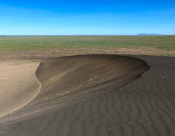 Shifting Sands