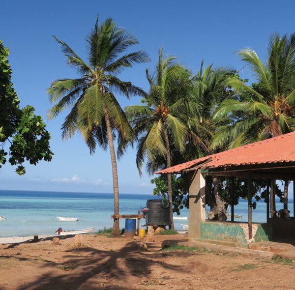 A Day -Jozani & Kizimkazi