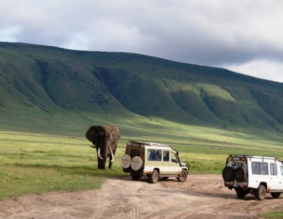 8 DAYS – Entire Northern & Zanzibar Island