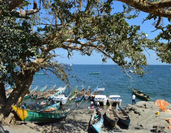 2HRS – Canoe-trip on Lake Victoria to a fishing village