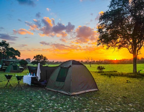 3 DAYS – Selous Game Reserves