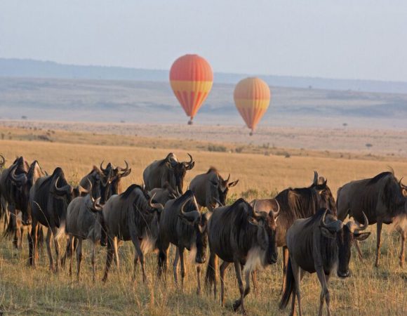 7 Day – Serengeti & Manyara