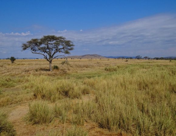3 Day – Serengeti National Park