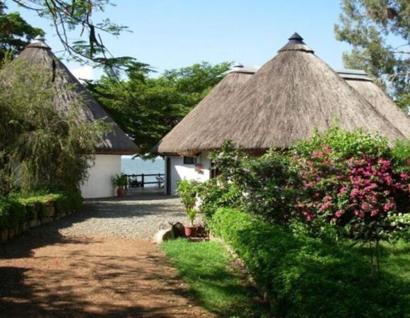 A Day Bird walk- Speke Bay Lodge