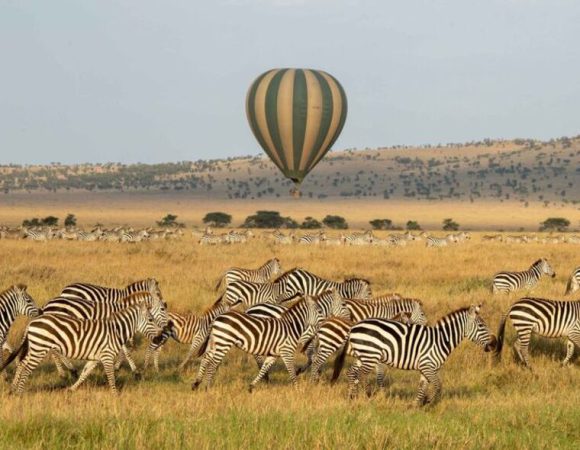 “HOT Air Balloon” 3 Day SERENGETI Safari