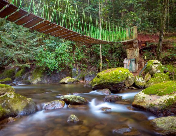 8 DAY – Selous + Mikumi + Ruaha + Udzungwa