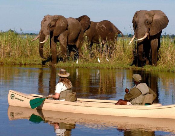 2HRS – Canoeing Safaris at Arusha National Park.